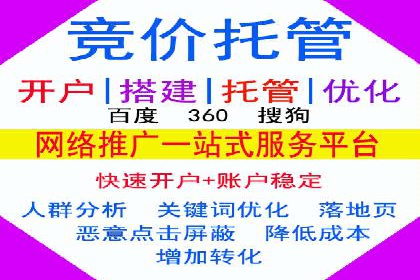 百度竞价公司成功案例：如何实现ROI最大化
